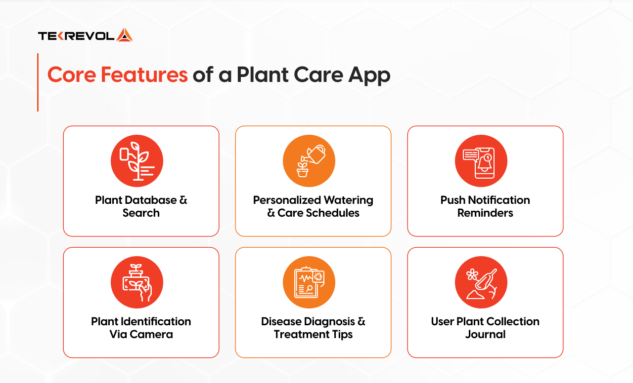 Illustration showing core features of a plant care app, including reminders, plant identification, disease detection, and care schedules.