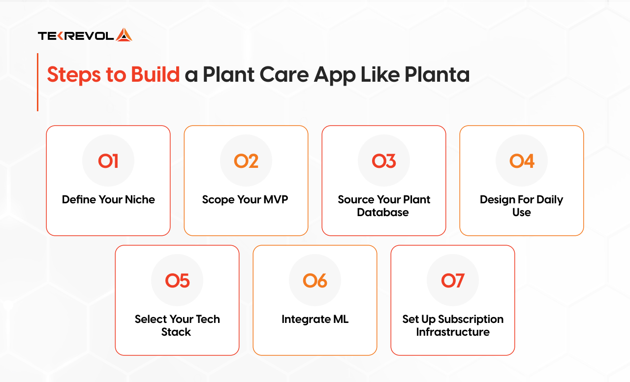 Image displaying easy steps to build a plant care app Like Planta