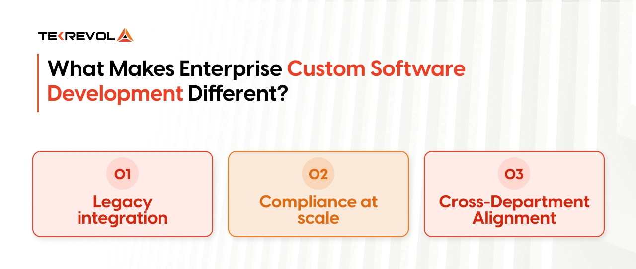 What Makes Enterprise Custom Software Development Different?