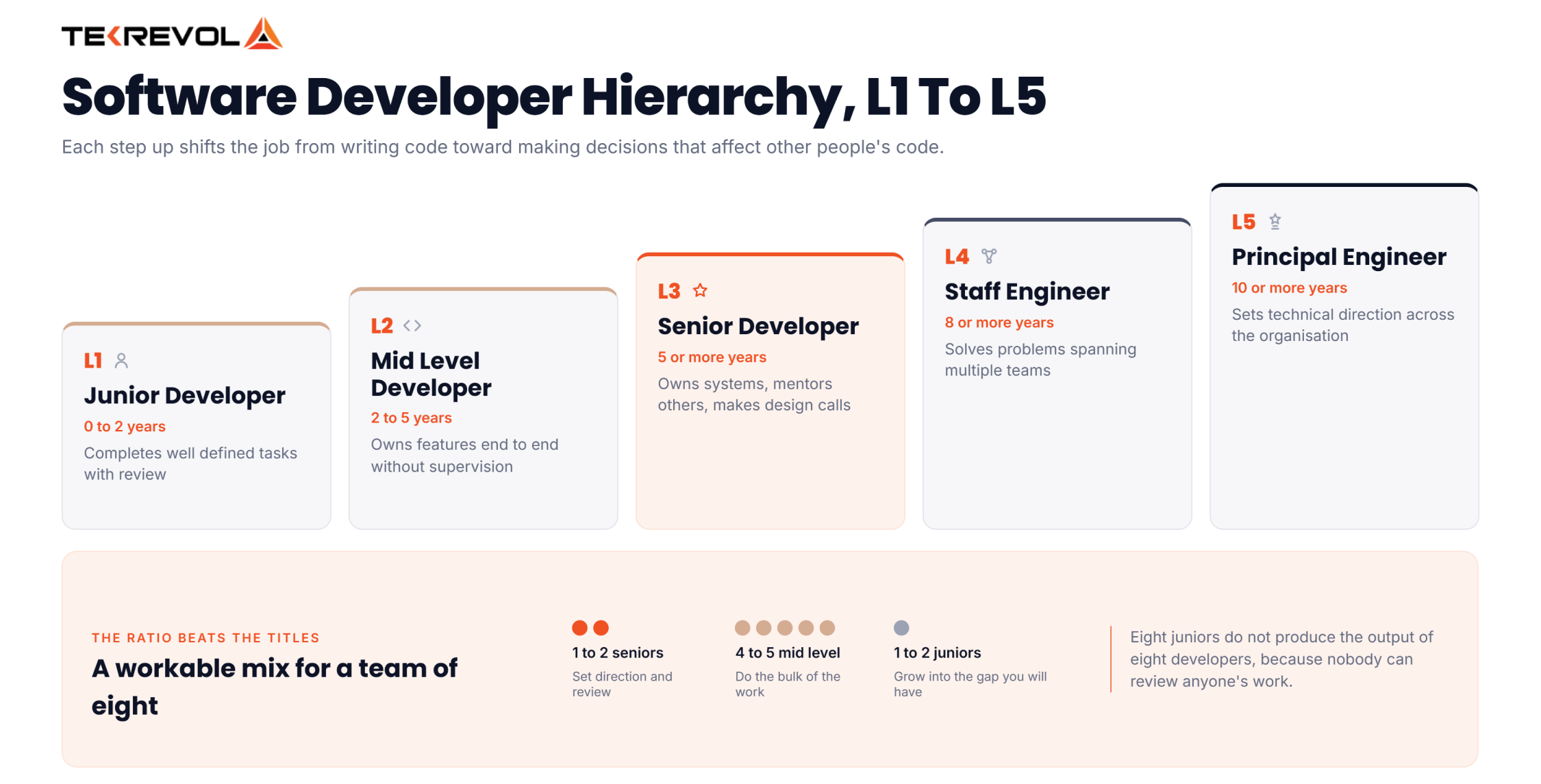 Software Developer Hierarchy