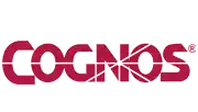 IBM Cognos analytics tool integrated with custom software solutions