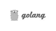 Golang programming language for high-performance backend development