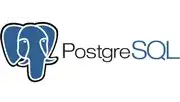PostgreSQL database used in custom application development